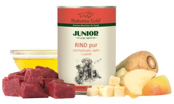 Junior Rind pur mit Pastinaken und Apfel