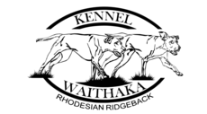 Rhodesian Ridgeback Zucht Kennel - Waithaka